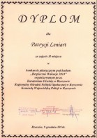 Bezp Wakacje 2014 Dypl