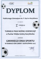 Dni Kyrylgim1