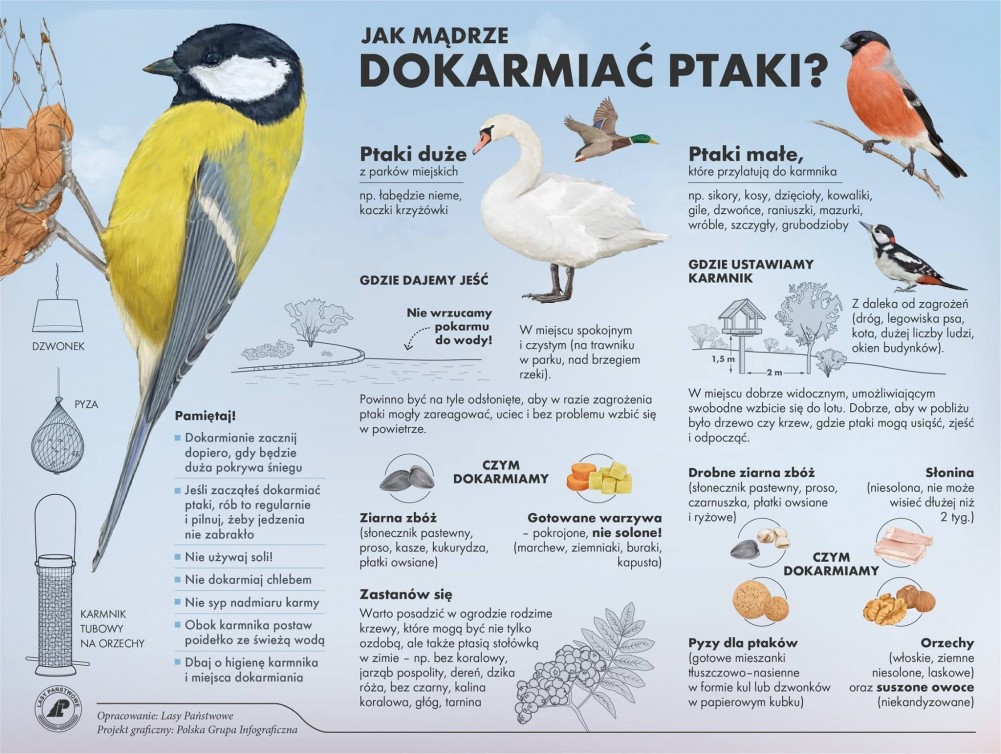 jak madrze dokarmiac ptaki