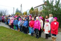 Listopad11 3