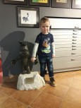 lot nisko1