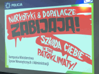 P Licja7