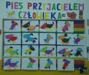 pies6