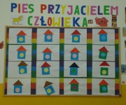 pies7