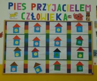 Pies7