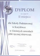 Pilka Reczna Dz