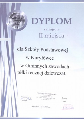 pilka reczna dz