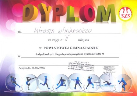 powiatowa gim