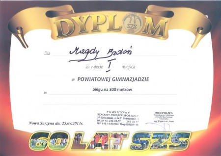 powiatowa gimnazjada4.jpeg