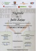 spory i wybory zj