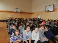 Spot Aut 6