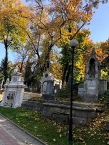 Alejki Łyczakowa