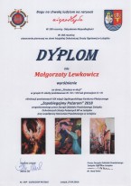 zap pozarom2018 lm